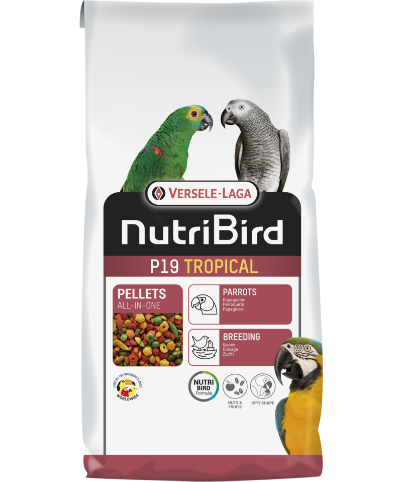 Развъдна екструдирана храна за големи папагали Versele-Laga NutriBird P19 Tropical