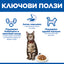 Ключови ползи – бъбреци, храносмилане, мускулатура