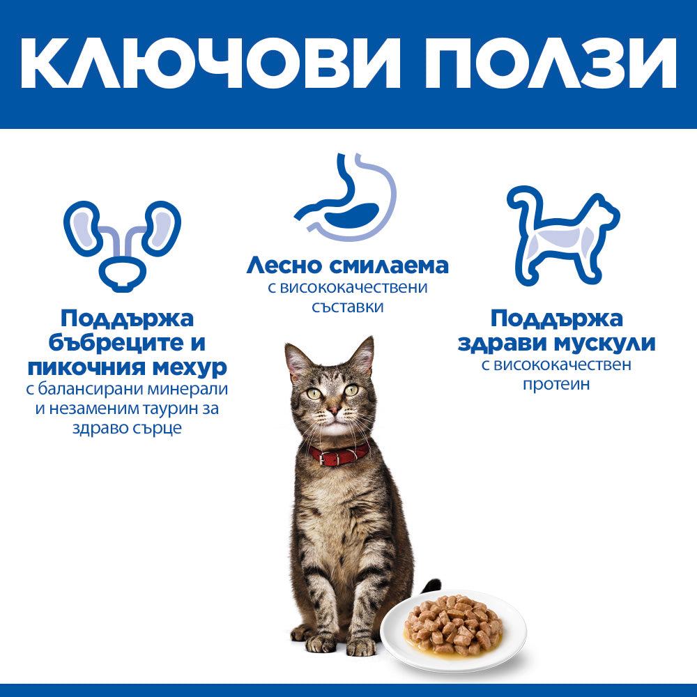 Ключови ползи – бъбреци, храносмилане, мускулатура