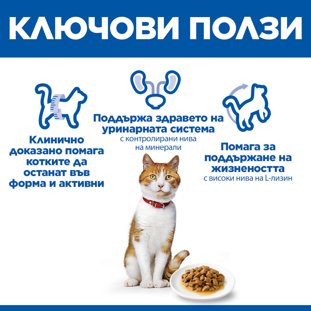 Ключови ползи – L-карнитин, пикочна система, контрол на теглото