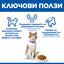 Ключови ползи – L-карнитин, пикочна система, контрол на теглото