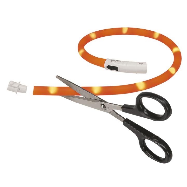 Светещ нашийник с USB - снимка 4 от 6