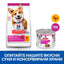 SP Canine Mousse Small&Mini с говеждо - снимка 4 от 4