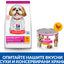 SP Canine Mature Mousse Small&Mini-с пилешко - снимка 4 от 4