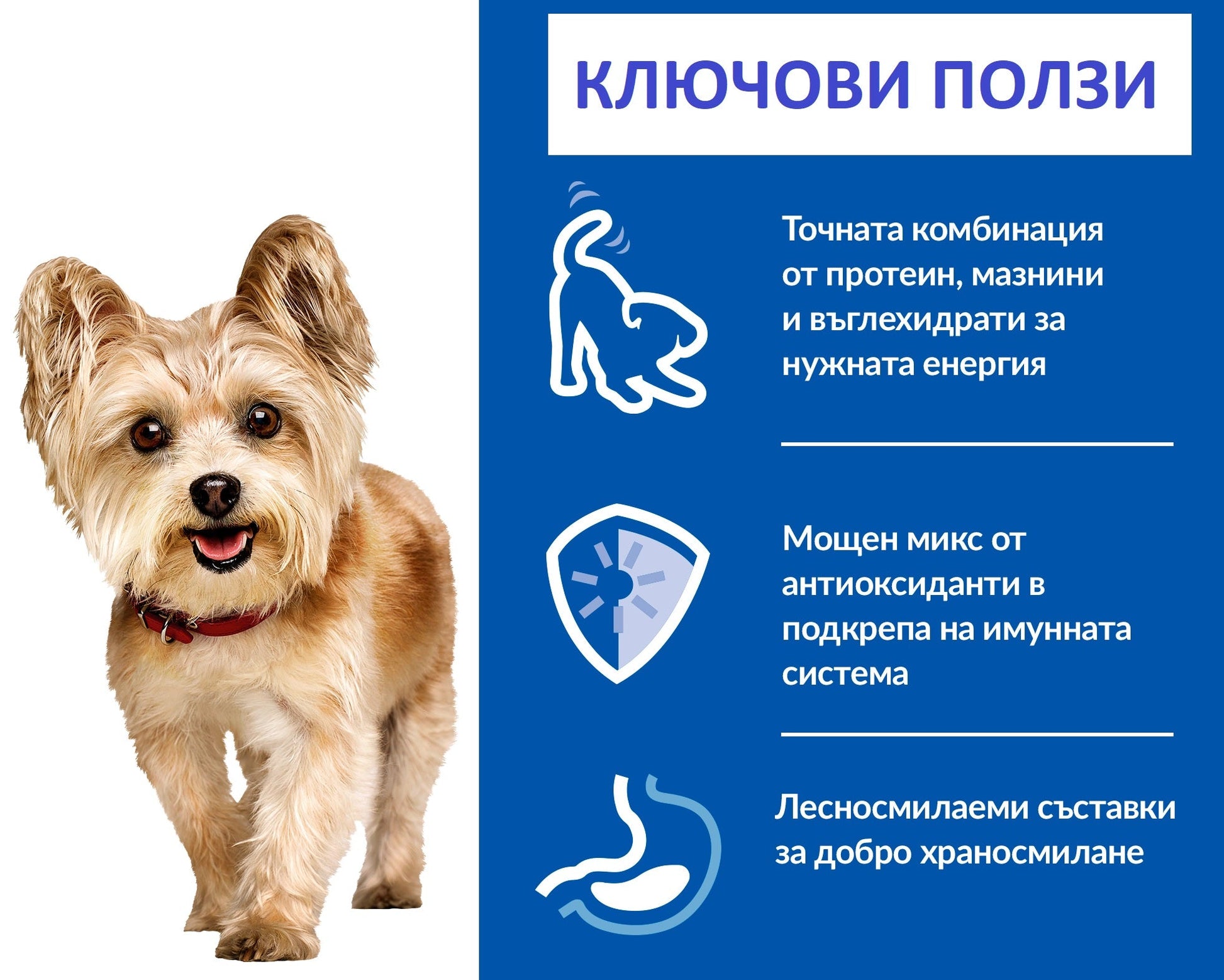 SP Canine Mature Mousse Small&Mini-с пилешко - снимка 2 от 4