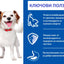 SP Canine Mousse Small&Mini с говеждо - снимка 3 от 4