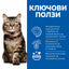 Hill's SP Feline Adult Hairball&Perfect Coat-с пиле - снимка 3 от 4