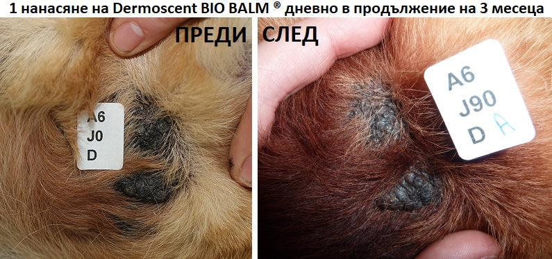 Dermoscent BIO BALM - Натурален възстановяващ балсам за суха и напукана кожа при кучета - снимка 4 от 4