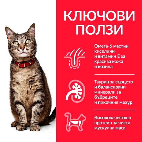 Колекция от паучове - Hill’s SP Adult FAVOURITE SELECTION - снимка 2 от 8
