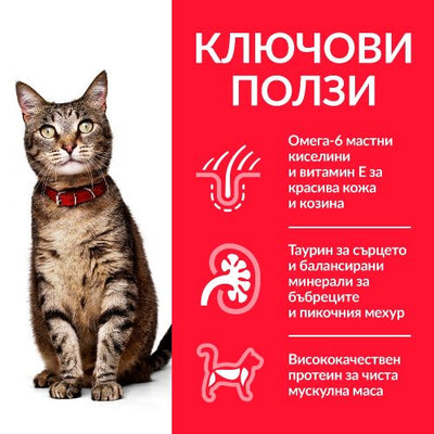 Колекция от паучове - Hill’s SP Adult FAVOURITE SELECTION - снимка 2 от 8