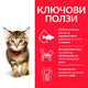 Пълноценна храна за котенца Hill’s SP Kitten с риба тон - снимка 1 от 7