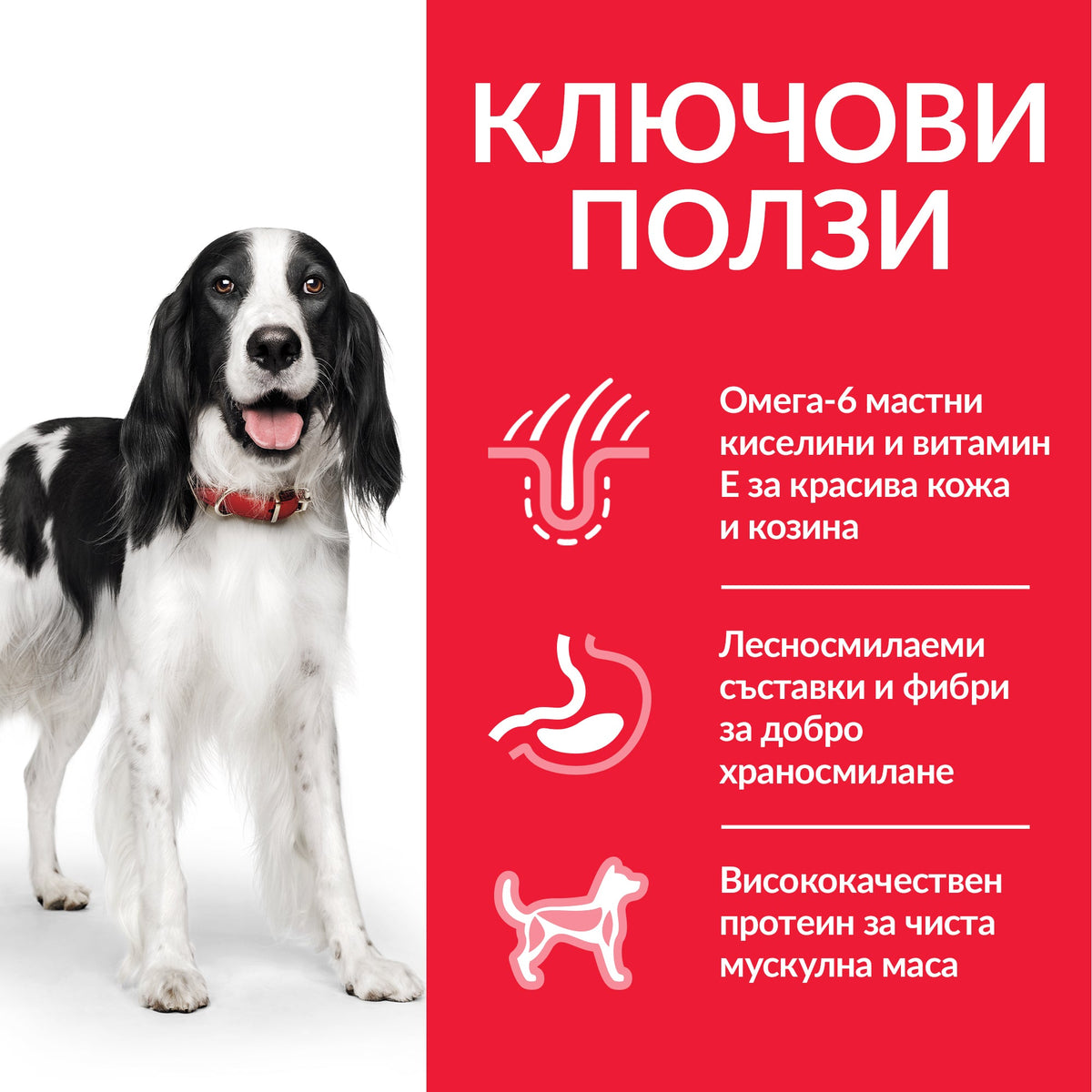 Консервирана храна за кучета Hill’s SP Adult с телешко - снимка 2 от 5