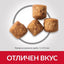 Храна за кучета с пилешко Hill’s Science Plan Adult Mature Large Breed - снимка 3 от 5