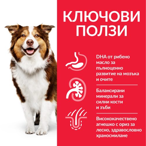 Храна за кучета с агнешко и ориз Hill’s Science Plan Mature Adult (7+) - снимка 2 от 5