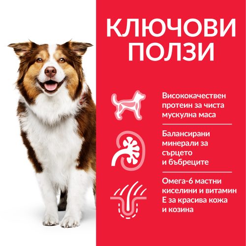 Суха храна за кучета с пилешко Hill’s Science Plan Mature Adult (7+) Medium - снимка 2 от 5