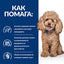 PRESCRIPTION DIET GASTROINTESTINAL BIOME MINI лечебна храна - снимка 3 от 5
