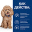 PRESCRIPTION DIET GASTROINTESTINAL BIOME MINI лечебна храна - снимка 4 от 5