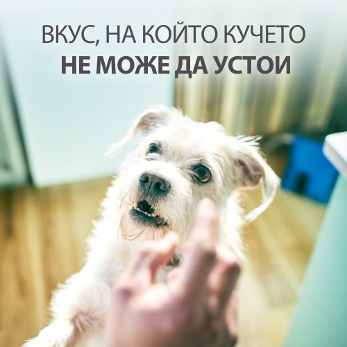 Лакомство за кучета (при ставни проблеми) Hill’s Healthy Mobility Treats - снимка 5 от 5