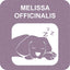 Snowflake Bag S Melissa Officinalis-стик снежинка - снимка 4 от 6