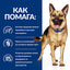 Hill’s PRESCRIPTION DIET Gastrointestinal Biome лечебна храна - снимка 7 от 9