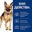 Hill’s PRESCRIPTION DIET Gastrointestinal Biome лечебна храна - снимка 8 от 9