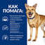 Hill`s PRESCRIPTION DIET I/D AB+ с пилешко - снимка 7 от 8