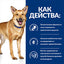 Hill`s PRESCRIPTION DIET I/D AB+ с пилешко - снимка 8 от 8