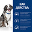Hill’s PRESCRIPTION DIET i/d Sensitive AB+лечебна суха храна за кучета - снимка 3 от 7