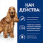 Hill’s Prescription diet z/d Food Sensitivities AB+ лечебна храна - снимка 5 от 9
