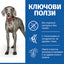 Пълноценна храна за кучета Hill’s SP NO GRAIN Large Breed Adult с пилешко - снимка 3 от 7
