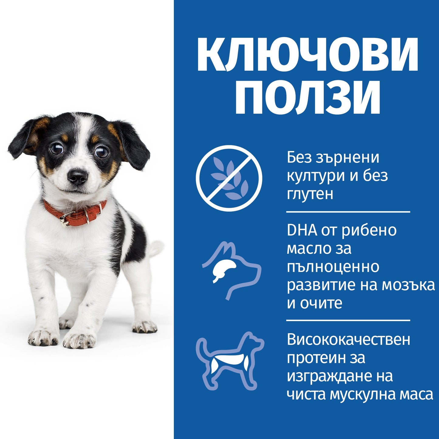 Пълноценна храна за кучета Hill’s SP NO GRAIN Puppy Small&Medium с пилешко - снимка 3 от 8