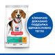 Hill’s Science Plan Adult Medium Perfect Weight с пилешко - снимка 1 от 6