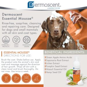 Essential Mousse Dermoscent - почистваща пяна за кучета и дребни бозайници - снимка 3 от 4