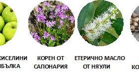 Essential Mousse Dermoscent - почистваща пяна за кучета и дребни бозайници - снимка 4 от 4