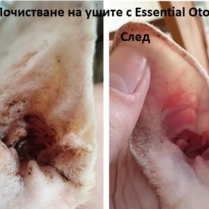 Essential Oto Dermoscent - лосион за почистване на уши при кучета и котки - снимка 2 от 3