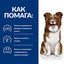 Hill’s Derm Defense храна за кучета с кожни алергии - JOY - снимка 6 от 10