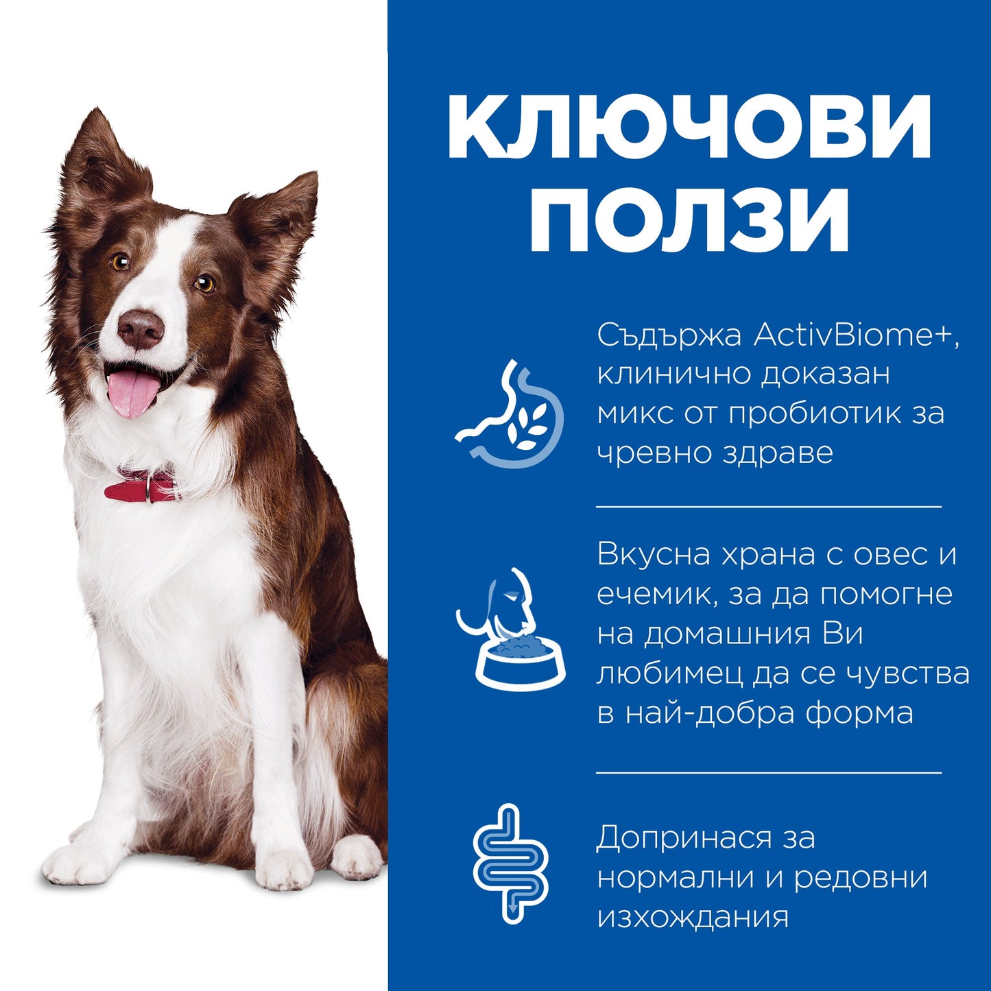 Hill’s Science Plan Adult Perfect Digestion Medium с пиле - суха храна за кучета 11-25 kg за отлично храносмилане - снимка 4 от 9