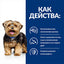 Hill’s Prescription Diet l/d Liver Care за кучета - Храна за черен дроб - снимка 4 от 7