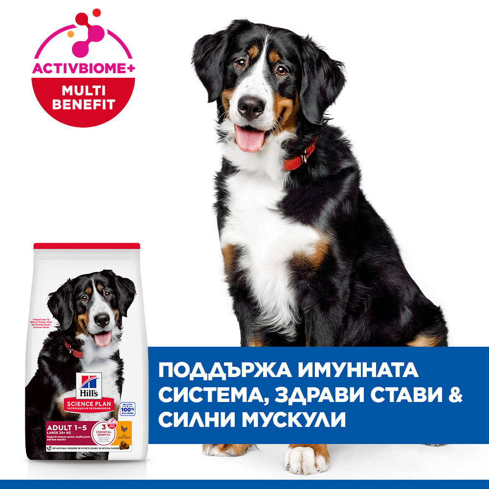 Hill's Science Plan Large Breed Adult с пилешко – уникални ползи
