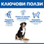 Hill's Science Plan Large Breed Adult с пилешко – ключови ползи