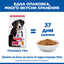 Hill's Science Plan Large Breed Adult с пилешко – колко дни храна дава опаковката