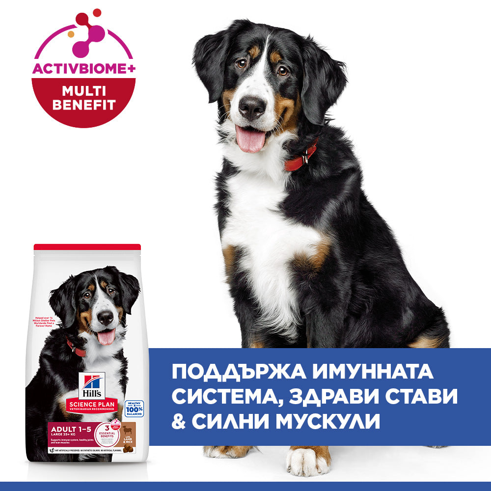 Hill's Science Plan Large Breed Adult с агнешко и ориз – уникални ползи