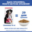 Hill's Science Plan Large Breed Adult с агнешко и ориз – колко дни храна дава опаковката