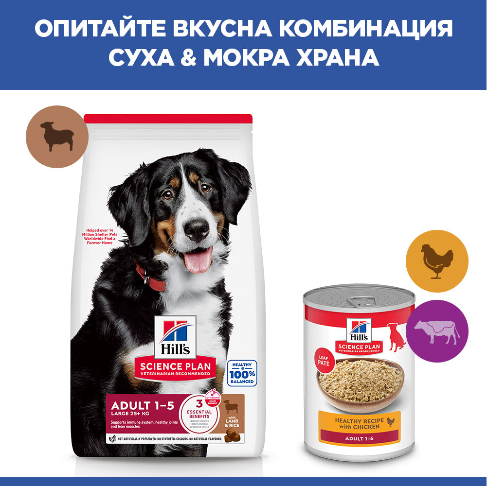 Hill's Science Plan Large Breed Adult с агнешко и ориз – комбинация суха и мокра храна