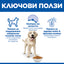 Hill's Science Plan Adult Light Large Breed с пилешко – ключови ползи