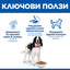 Hill's Science Plan Medium Adult с пилешко – ключови ползи