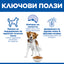 Hill's Science Plan Adult Light с пилешко – ключови ползи