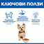 Hill's Science Plan Small & Mini Adult с пилешко – ключови ползи