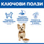 Hill's Science Plan Small&Mini Adult с агнешко и ориз – ключови ползи
