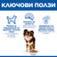 Hill's Science Plan Light Small&Mini с пилешко – ключови ползи